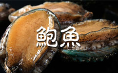 feihong_50